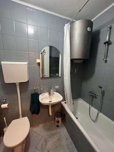 One-Bedroom Apartment image 10