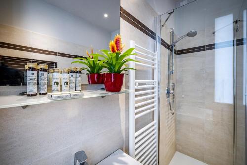B&B Residenza Giotto - main image
