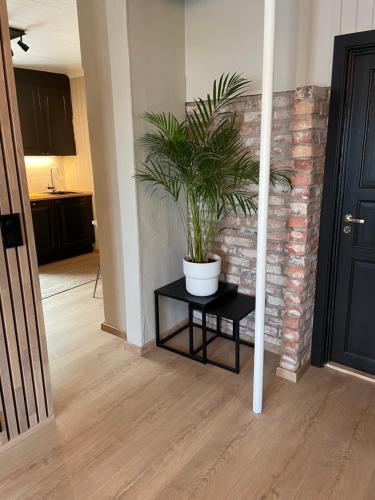 Nice apartment close to the sea with parking and garden Nice apartment close to the sea with parking and garden