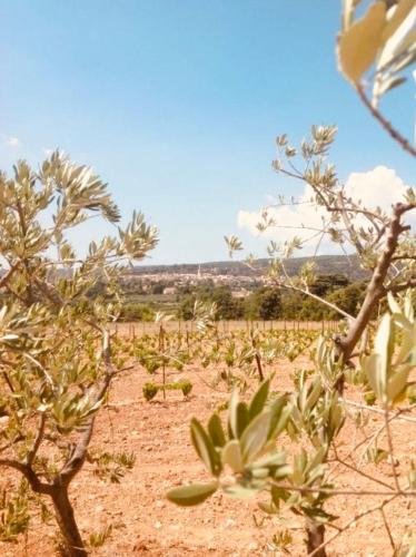 Le Vieux Portail – St. Saturnin d'Apt, UT