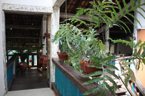 43731976 Ilha Deck Hotel