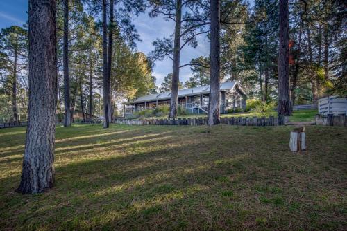 Hill Top Mountain View, 4 Bedroom, Pets, Hot Tub, Pool Table, Sleeps 10