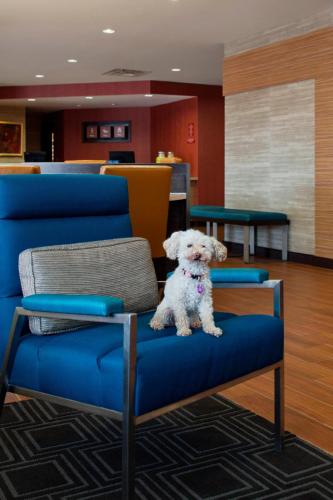 TownePlace Suites by Marriott Austin Round Rock