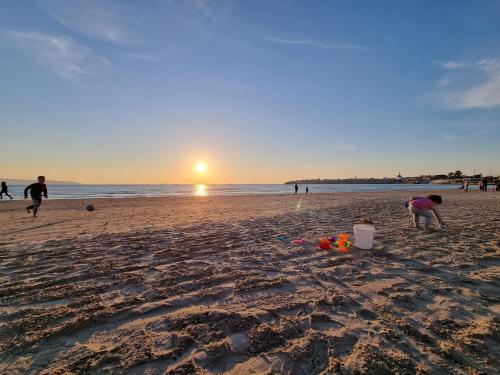 沙灘, Ducks on the beach in 阿卡