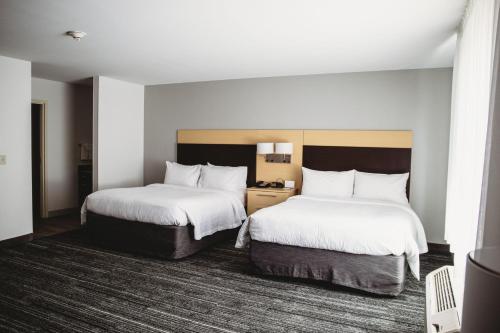 1 queen bed, 1 sofa bed