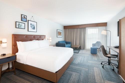 Traditional, Guest room, 1 King, Sofa bed