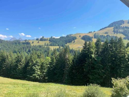 Superbe appartement 3.5 avec cheminée - Apartment - Gruyères