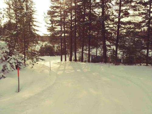 Le Chalet Bleu, aux pieds des Monts-Valin in Saint-David-de-Falardeau (QC)