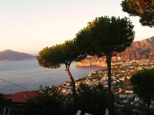 Hotel Villa Fiorita