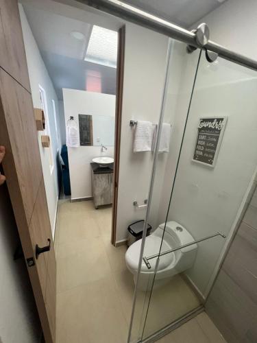 One-Bedroom Apartment image 10