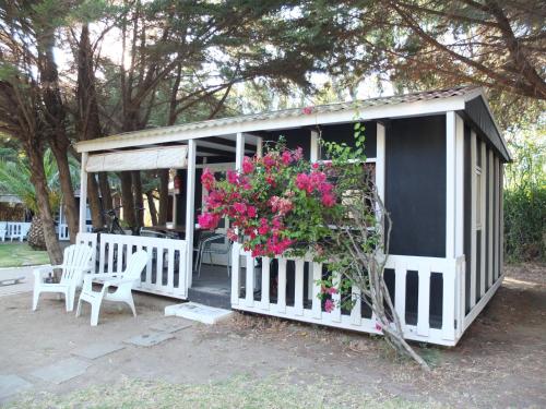 Bungalows Tangana