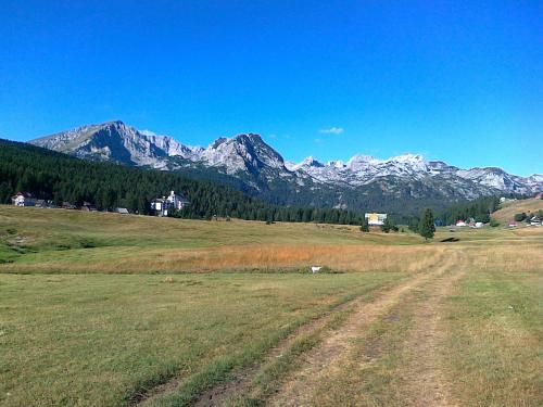 Žabljak City Center Apartments - image 8