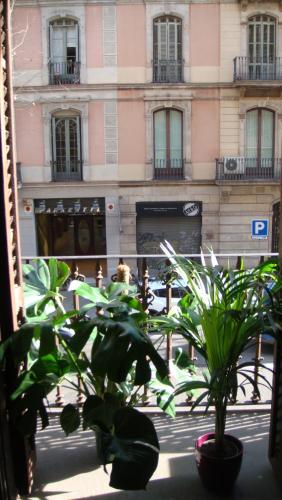 Soul Backpackers Barcelona Room Type - Bed in 6-Bed Female Dormitory Room