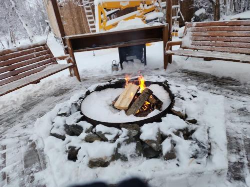 The Eagle's Nest Treehouse Cabin