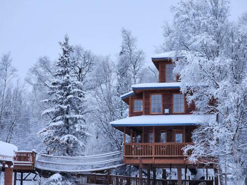 The Eagle's Nest Treehouse Cabin