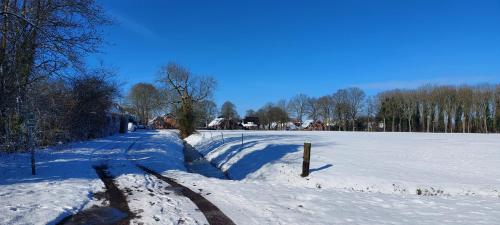 Logeerboerderijtje De Rietkap Gieten