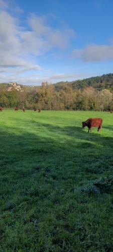 Apkārtne, Le Cocon Beaujolais in Chatillon (Rhone-Alpes)