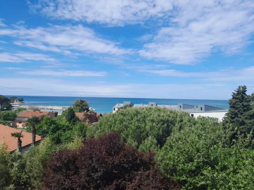  Apartments Eva in Zambratija