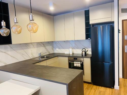 Apartament Mgła