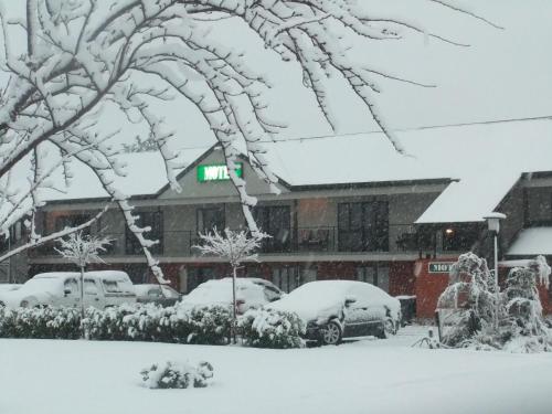 บริการและสิ่งอำนวยความสะดวก, Darfield Motel in ดาร์ฟิลด์