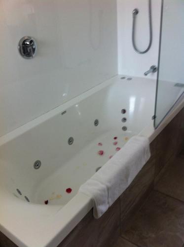 thermaalbad, Darfield Motel in Darfield