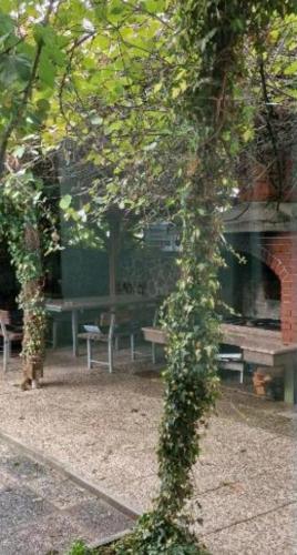 Apartman MURKO P-1 in 伊格