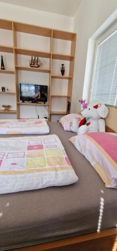 Apartman MURKO P-1 in 伊格