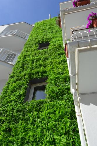 Hostal Mar del Plata - image 19