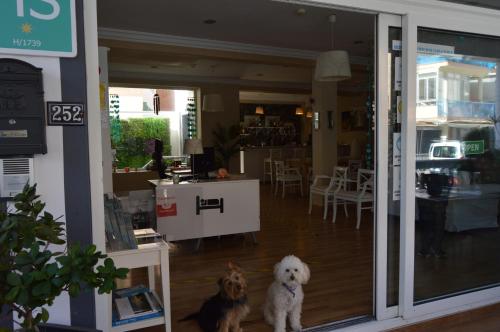 Hostal Mar del Plata - image 17