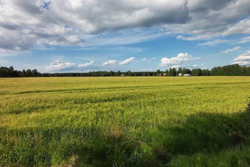 Villa Mäntysaari luonnonrauhaa kaupungin lähellä.