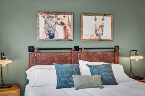 Single Bedroom - King Size. Heart of Downtown Vista in Vista, USA