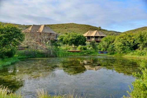 Garden Route Safari Camp