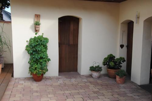 Ferienwohnung Stammkötter - image 4