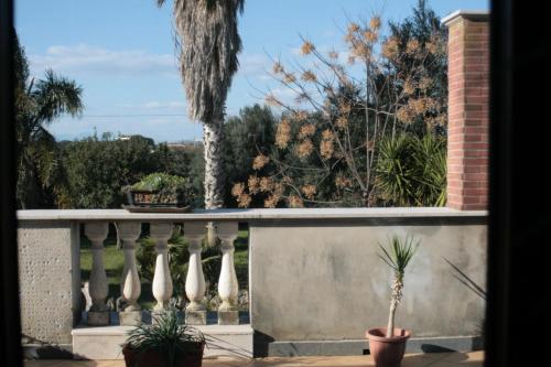 Il Tuffatore B&B 2