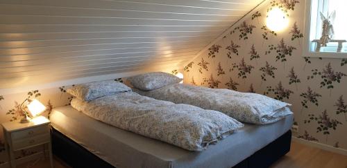 Slåta - The Dragon-valley cabin, Lyngdal (foto 5)