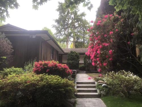 Airnest in Vancouver, Canada