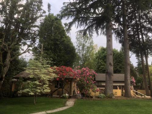 Airnest in Vancouver, Canada