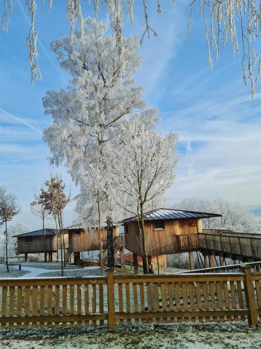 Treehouse Ahornhöhe