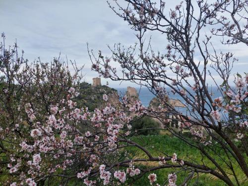 Piccola Baia, Scopello (foto 6)