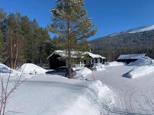 Nymon Mountain Lodge - Stöten i Sälen