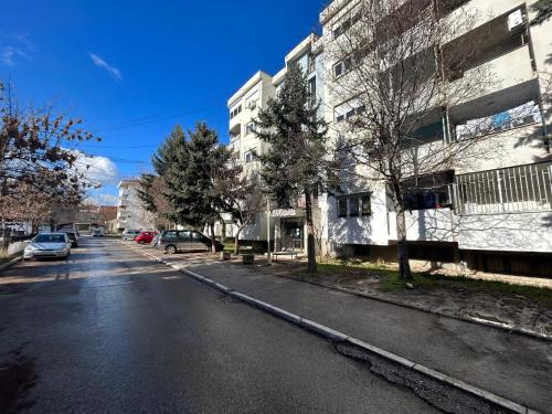 . Viktor apartment