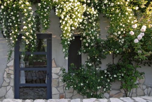 Agriturismo Arte et Agricoltura - image 6