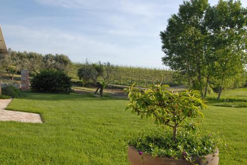 Agriturismo Arte et Agricoltura - image 10