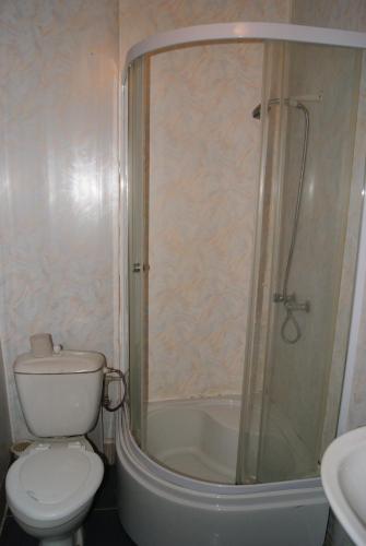 Hotel Lebed - image 2