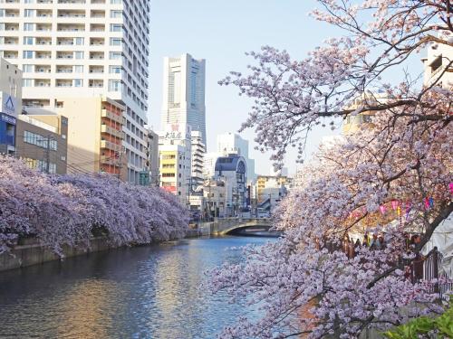 横浜ザ・アパートメント