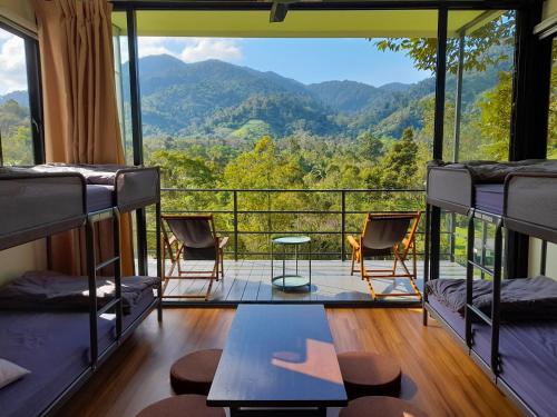 1 king bed, 4 bunk beds