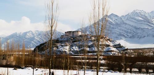 Dakpa House Ladakh