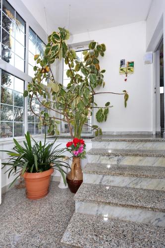 Villa Dalmatia 5