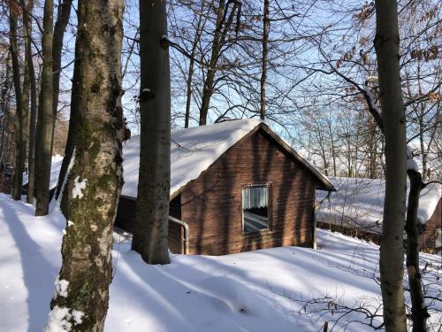 Schwedische Winter Hütte unter Buchen