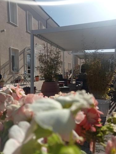 Hotel Porta Rivera - image 14
